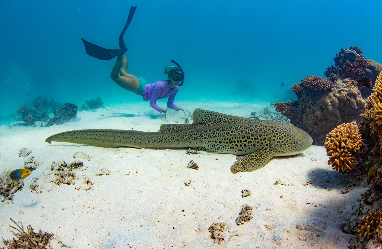 Arngem X Sea Shepherd Protect The Locals Charity Tee supporter Leah swimming with a Leopard Shark in WA