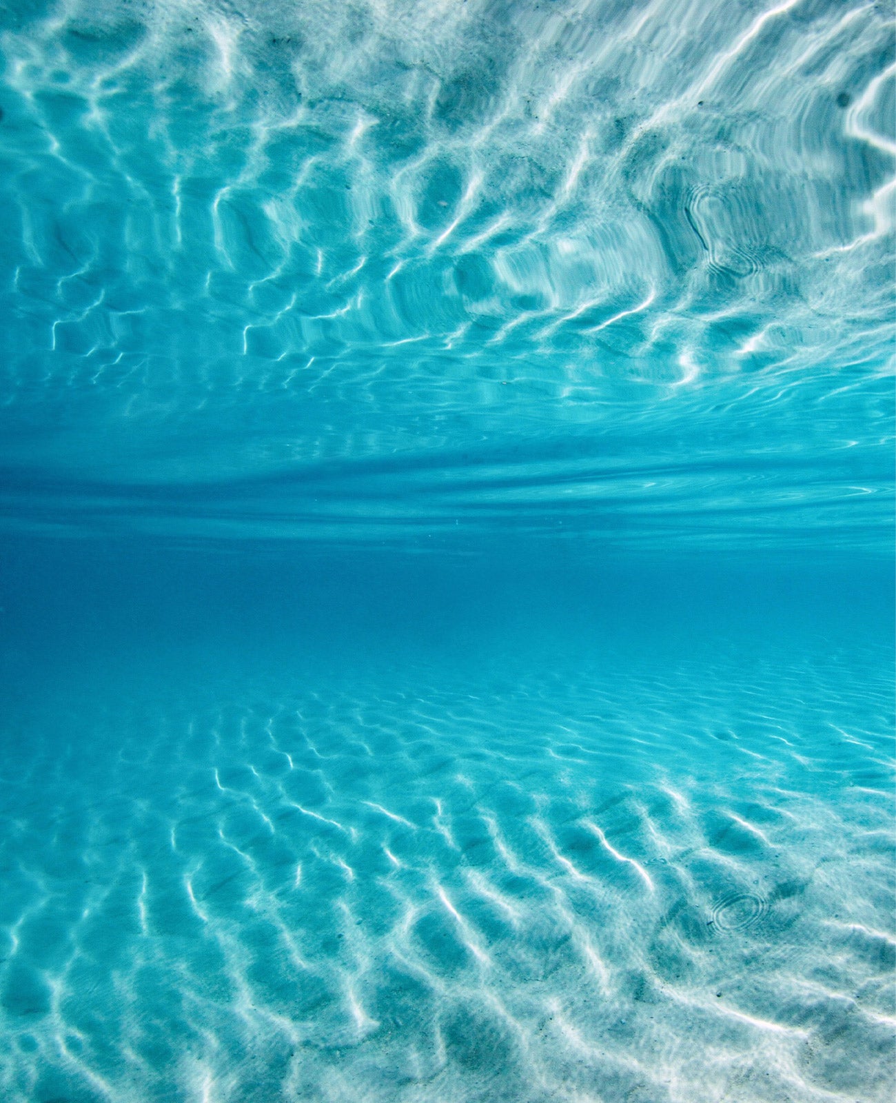 Underwater shot by Environmental Science Student and underwater photographer Tarni for globetrottersiraconlineusa Byron Bay